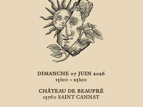Chapter III - « Vineyard Treasures »