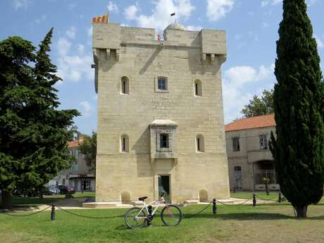PORT-SAINT-LOUIS-DU-RHÔNE - La ville entourée d'eau à vélo