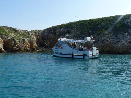 2-hour ecological tour: the biodiversity of Marseille's islands
