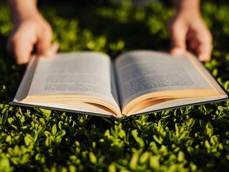 Lecture en plein air