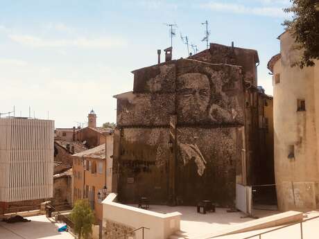 Portrait de Charles Nègre - Vhils
