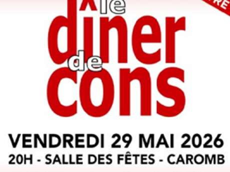 Théâtre : Le dîner de cons
