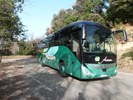 Auran coaches