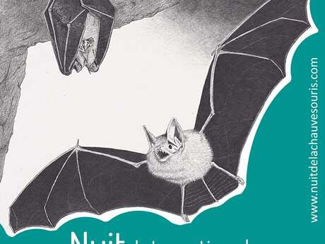 Soirée d'observation des chauves-souris
