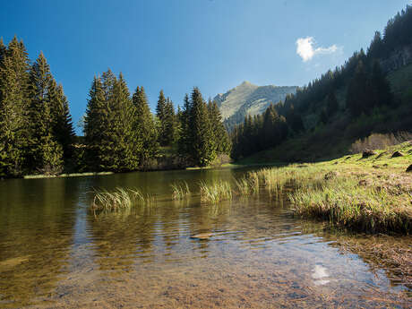 Lac de Damoz des Moulins