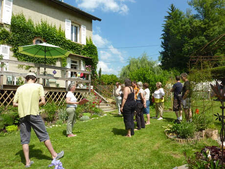 Initiation à l'agriculture syntropique