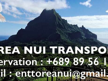 Torea Nui Transports