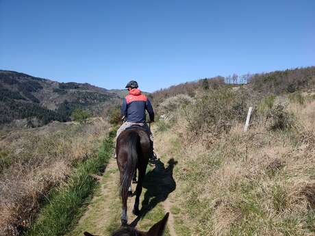 Fête du poney-club