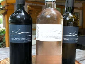 Domaine Belleviste / vigneron récoltant