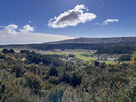 FETE DU TERROIR ET DE L'ELEVAGE