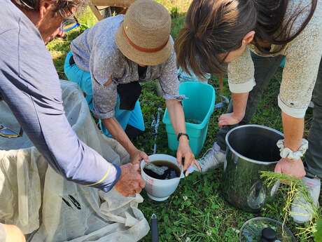 "D'un jardin à l'autre" Rencontre des jardiniers