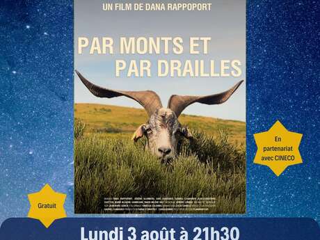 Projection en plein air
