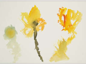 Les mini-mercredis : Un jardin extraordinaire