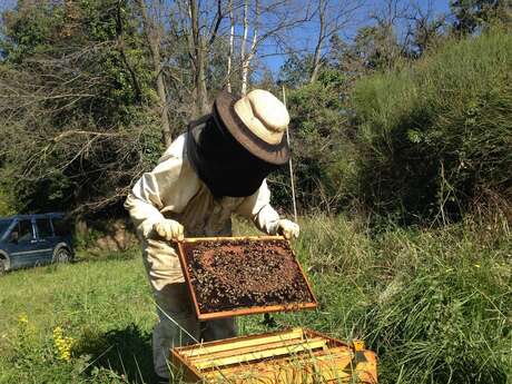 La Petite Abeille de Carqueiranne