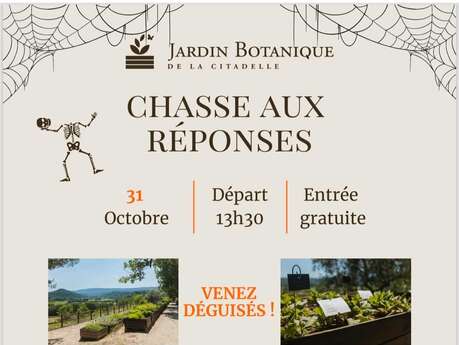 Chasse aux réponses