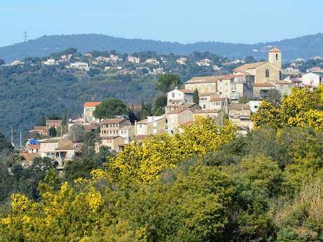 Circuit VTT & Gravel -Tour du Peygros