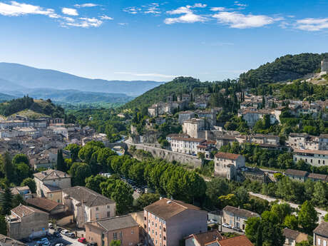 Vaison-la-Romaine