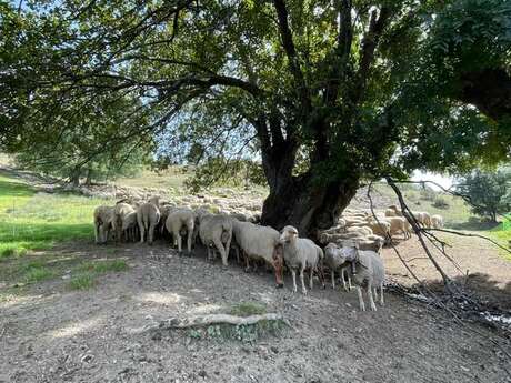 GAEC La Ferme des Palets