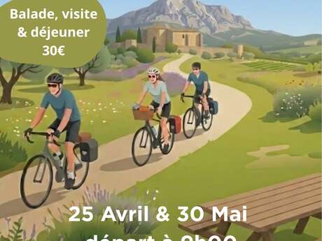 Cyclo'ride : La métropole à vélo 2026