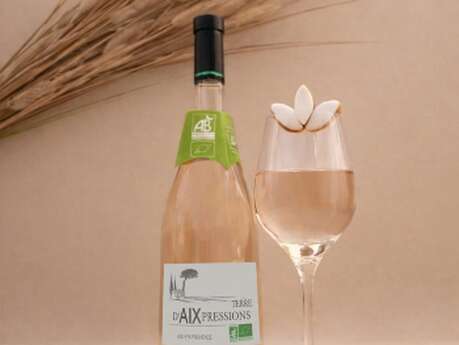 Roy René, l’Expérience Gourmande en Provence au Vignoble du Roy René