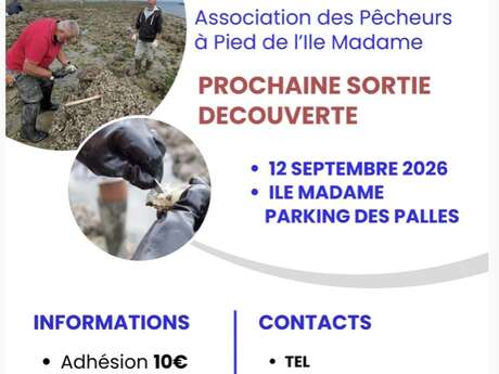Sortie pêche à pied