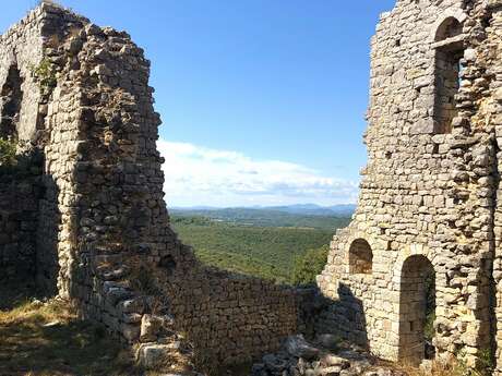 Conférence - L'histoire du château de Puimoisson
