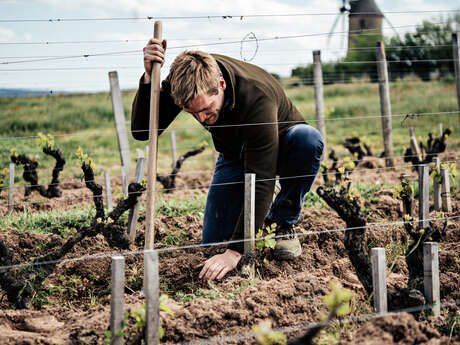 Visit -“Moulin-à-vent castle, a history of terroirs!"