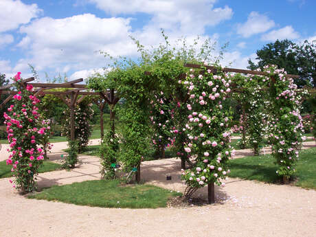 La Roseraie de Saint-Galmier