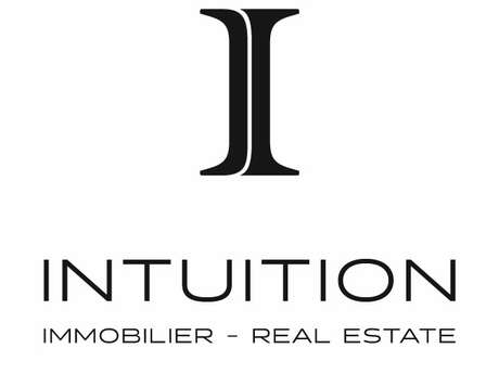 Intuition