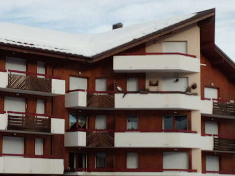 Le Florian - 34 m² - n°504