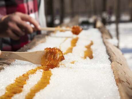 Maple syrup lollipop" stand