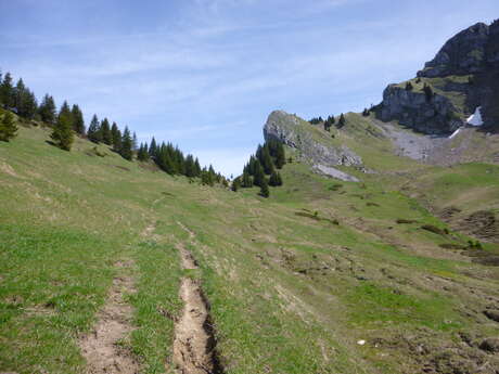 Tour de Haute Pointe