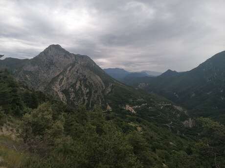 LE MAS - Montagne de Charamel