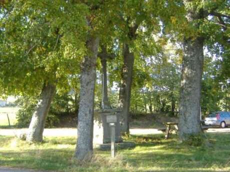 Aire de pique-nique des 4 tilleuls Aire de pique-nique des 4 tilleuls