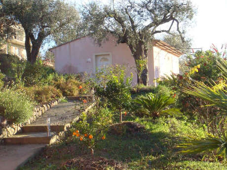 Mas de la Galinette "Pivoine"