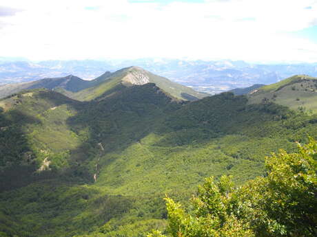 Réserve Naturelle Régionale des Baronnies orientales