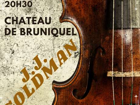 Concert Tribut J.J. Goldman