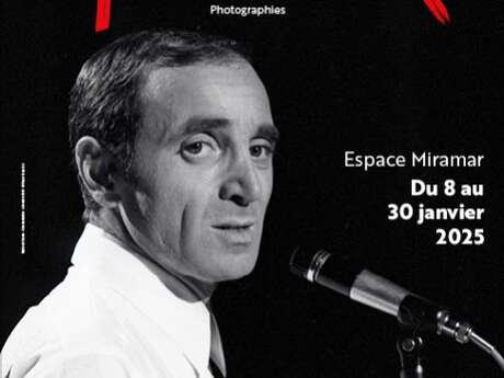 Exposition Aznavour par Roger Kasparian