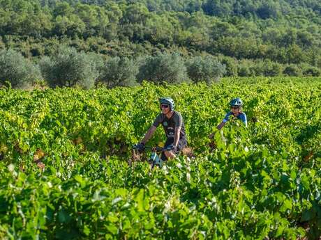 Cycles Thaon Bike Adventure