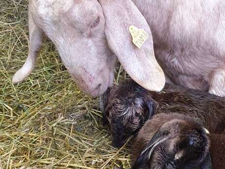 La Ferme de Lou Bregeoun