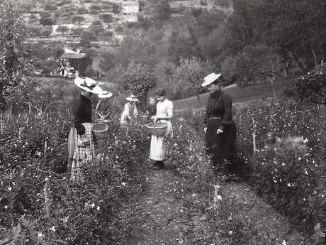 Visite de la passion - parfumeries de SEILLANS - Chemins parfumés UNESCO