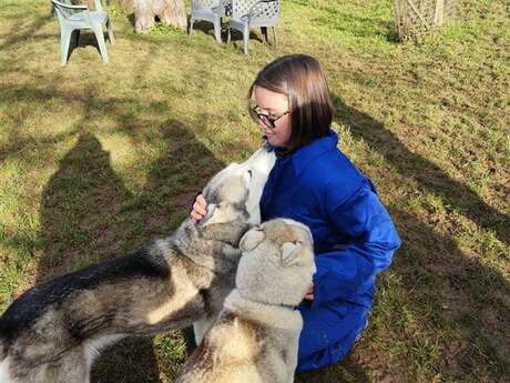 Immergetevi nella vita di un musher (cani-balade)