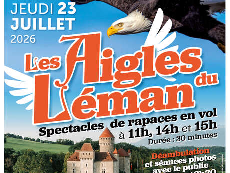 Spectacles de rapaces en vol