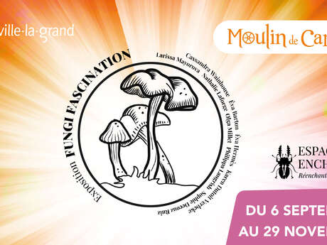 Exposition artistique Fungi Fascination