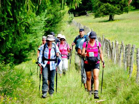 Rando'them - Accompagnateur en montagne