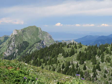 Randonnée pédestre : la Pointe d'Ireuse depuis Seytroux
