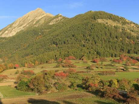 La biodiversité selon l'altitude