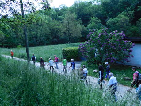 Parcours  marche nordique Ternier boucle verte