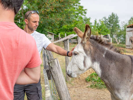 Visite de la ferme pédagogique Saint-Martin