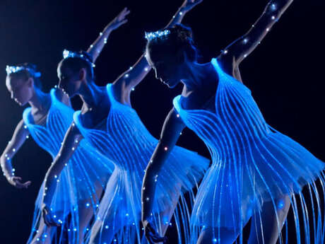 La Belle au Bois Dormant